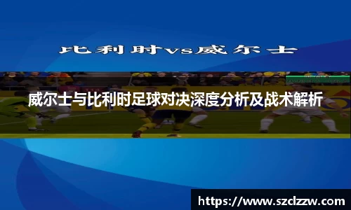 威尔士与比利时足球对决深度分析及战术解析